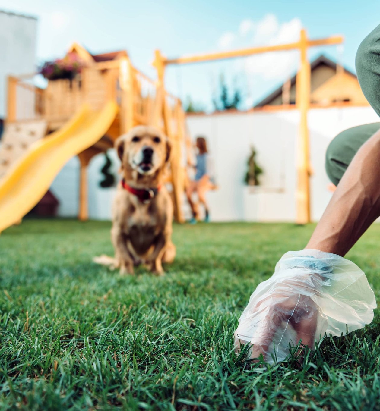 Pet waste scoop and cleanup tools used for yard service